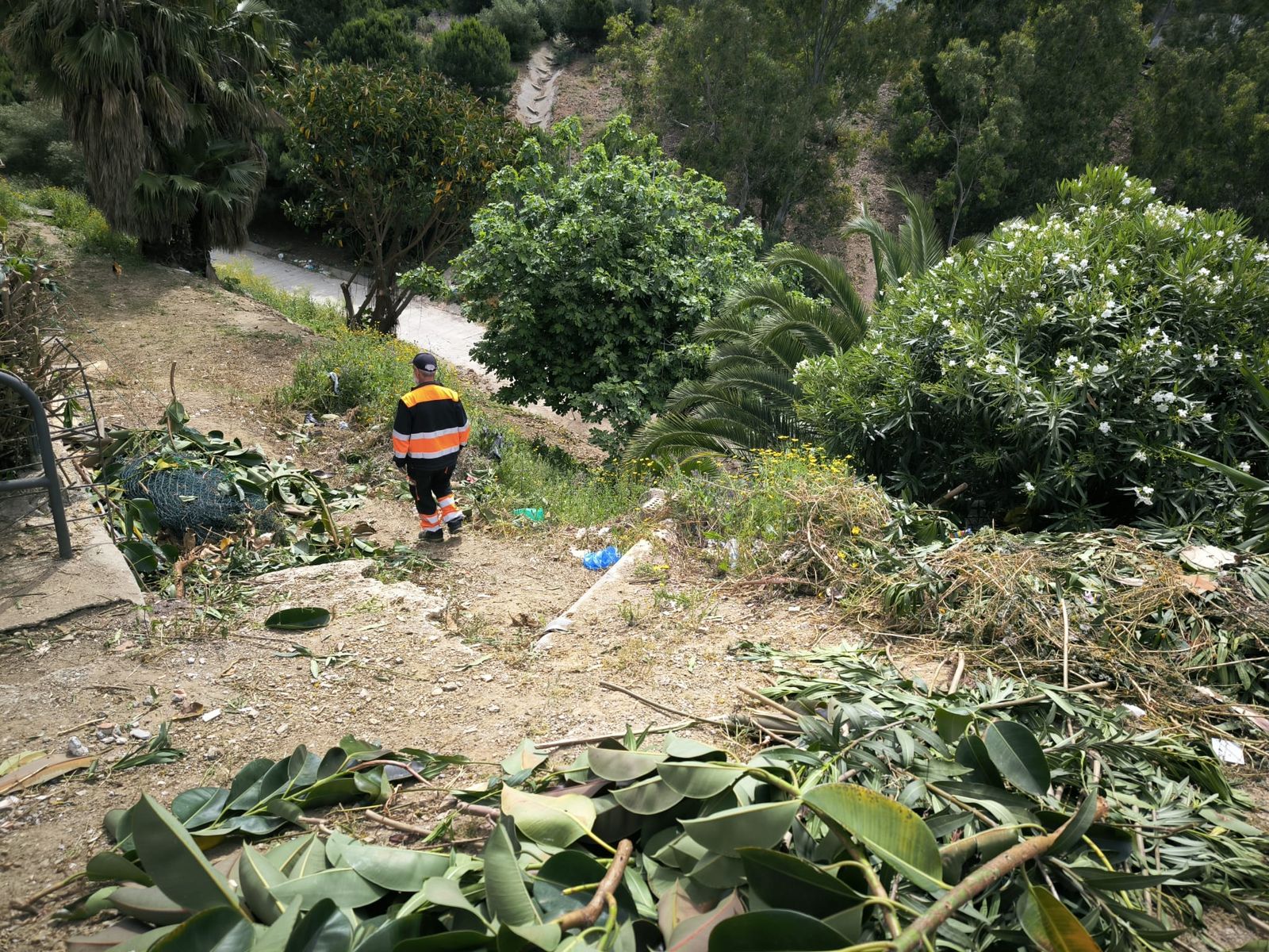 La Ciudad actúa tras las denuncias vecinales y limpia la vaguada de Miramar Alto
