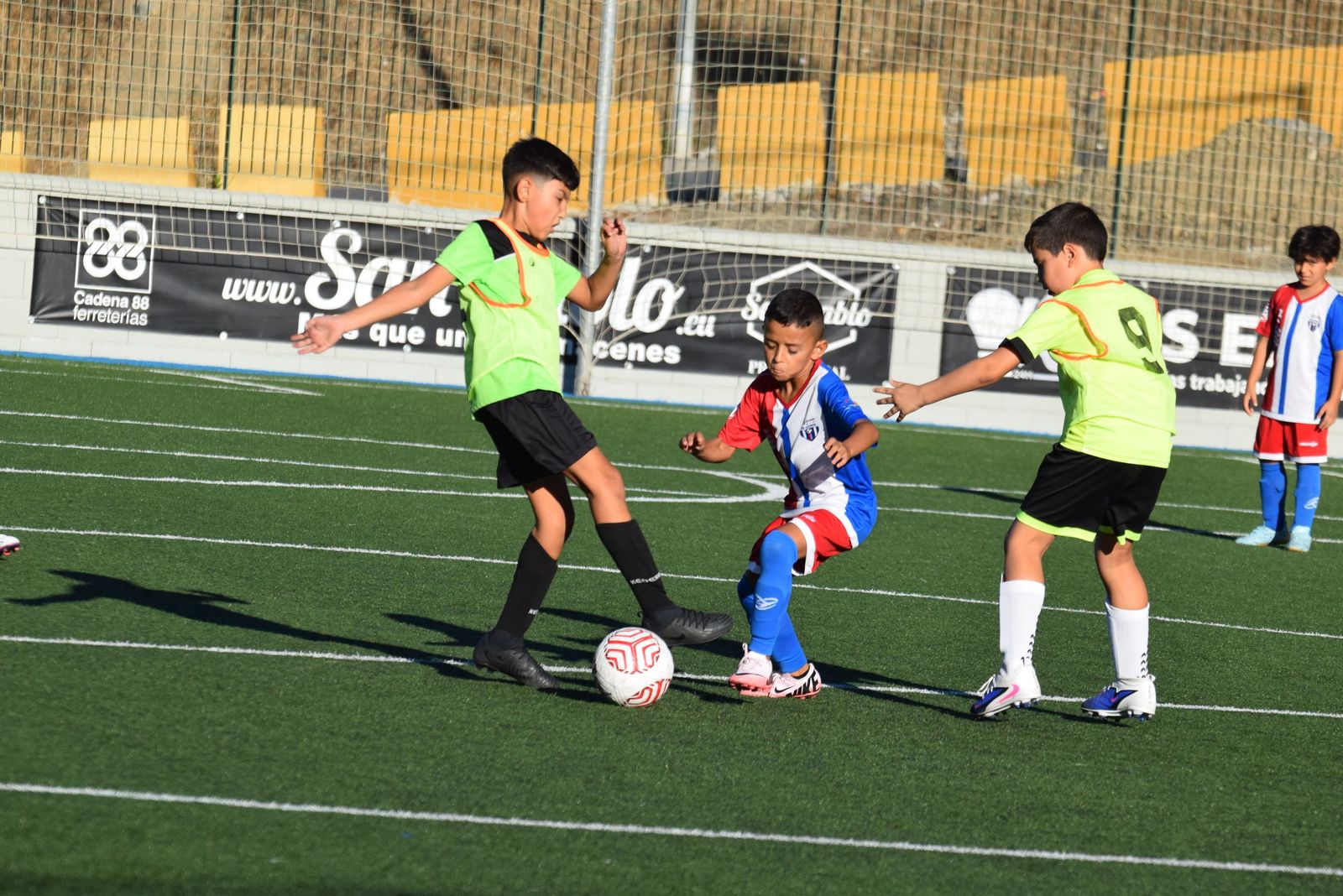 Liga Benjamín