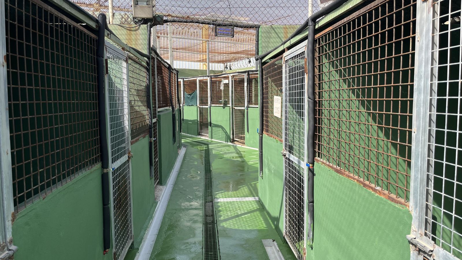 La perrera del Grupo Cinológico ha sido rehabilitada recientemente