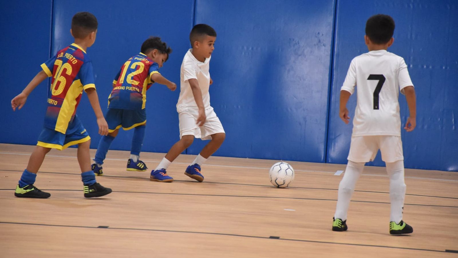 Partidos en Santa Amelia