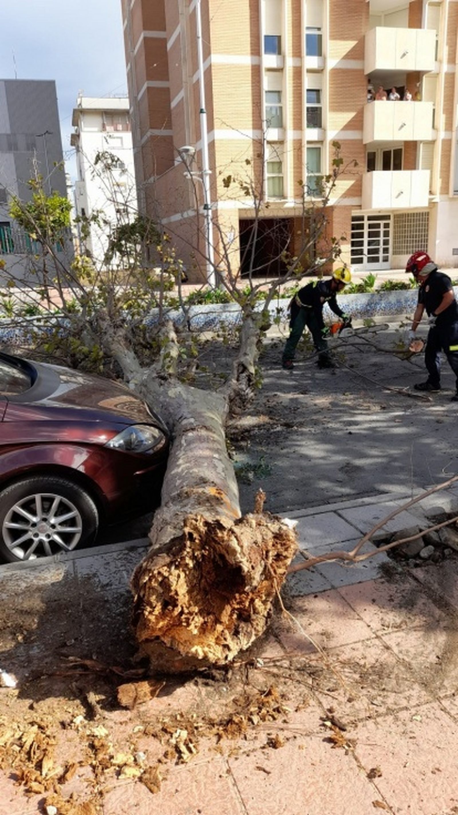 6937_whatsapp-image-2021-10-31-at-120112web 6937_whatsapp-image-2021-10-31-at-120112web