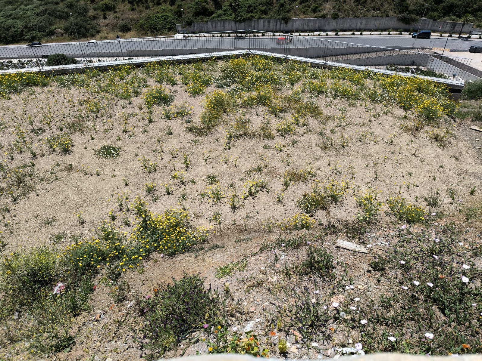 La zona donde irán las nuevas tumbas