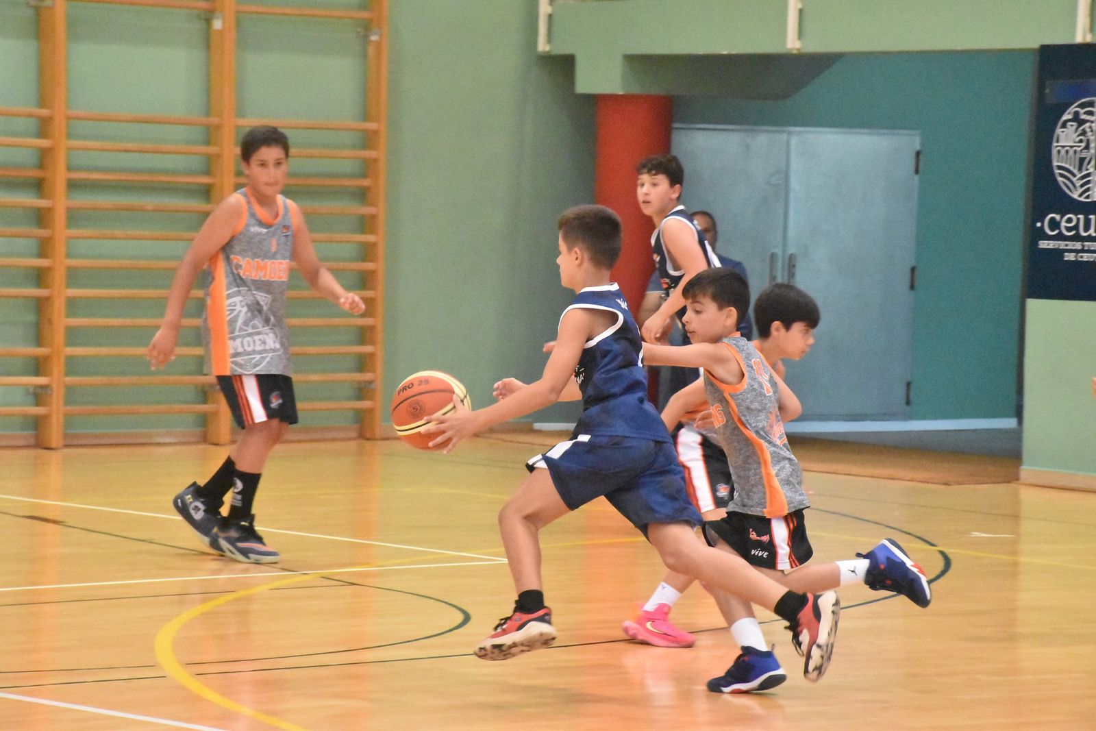 Finales de la liga de Minibasket