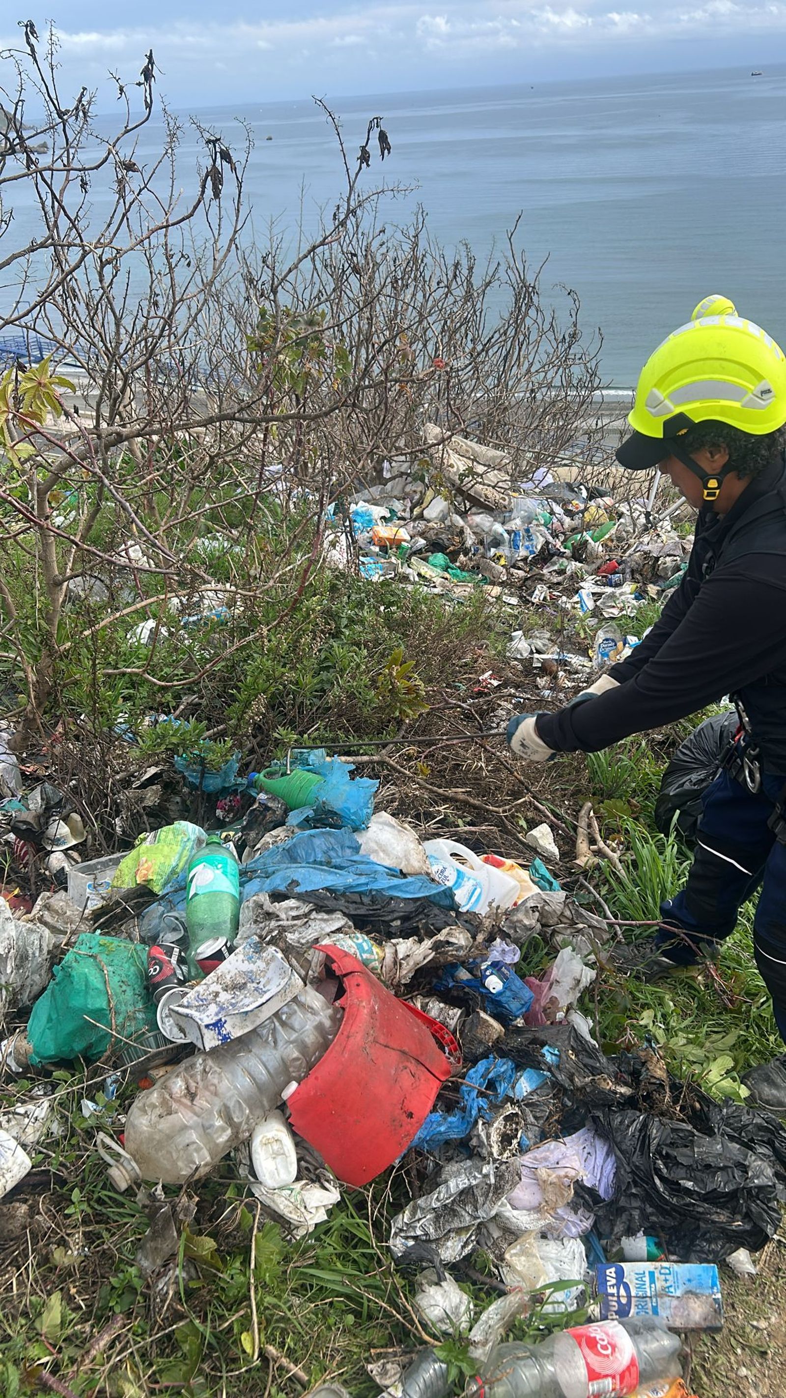 Las Brigadas Verticales limpian residuos en la barriada del Príncipe Felipe.