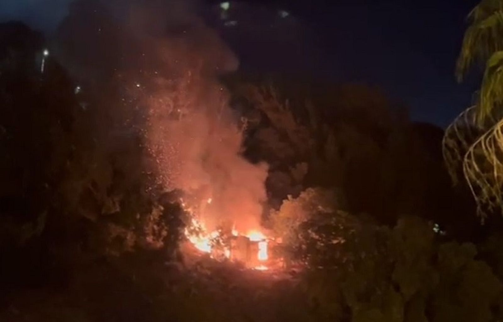 El incendio forestal de esta pasada madrugada ha dejado una superficie de 9.000 m2 calcinados El incendio forestal de esta pasada madrugada ha dejado una superficie de 9.000 m2 calcinados