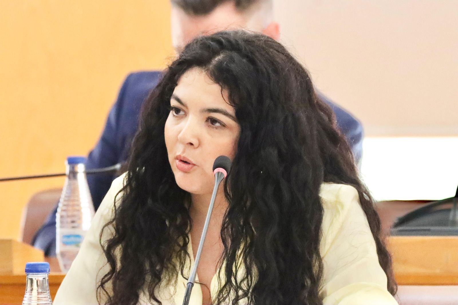 Hanan Ahmed durante el pleno