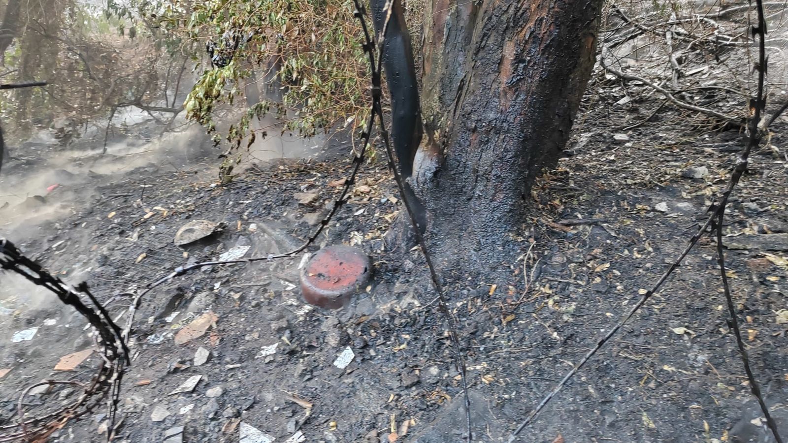El SEIS extingue un nuevo incendio de monte en un asentamiento de Calamocarro
