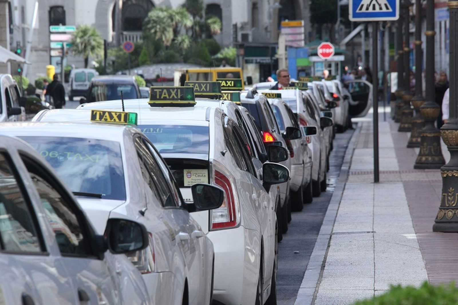 Un grupo de taxis en el centro de Ceuta. / FOTO EL PUEBLO