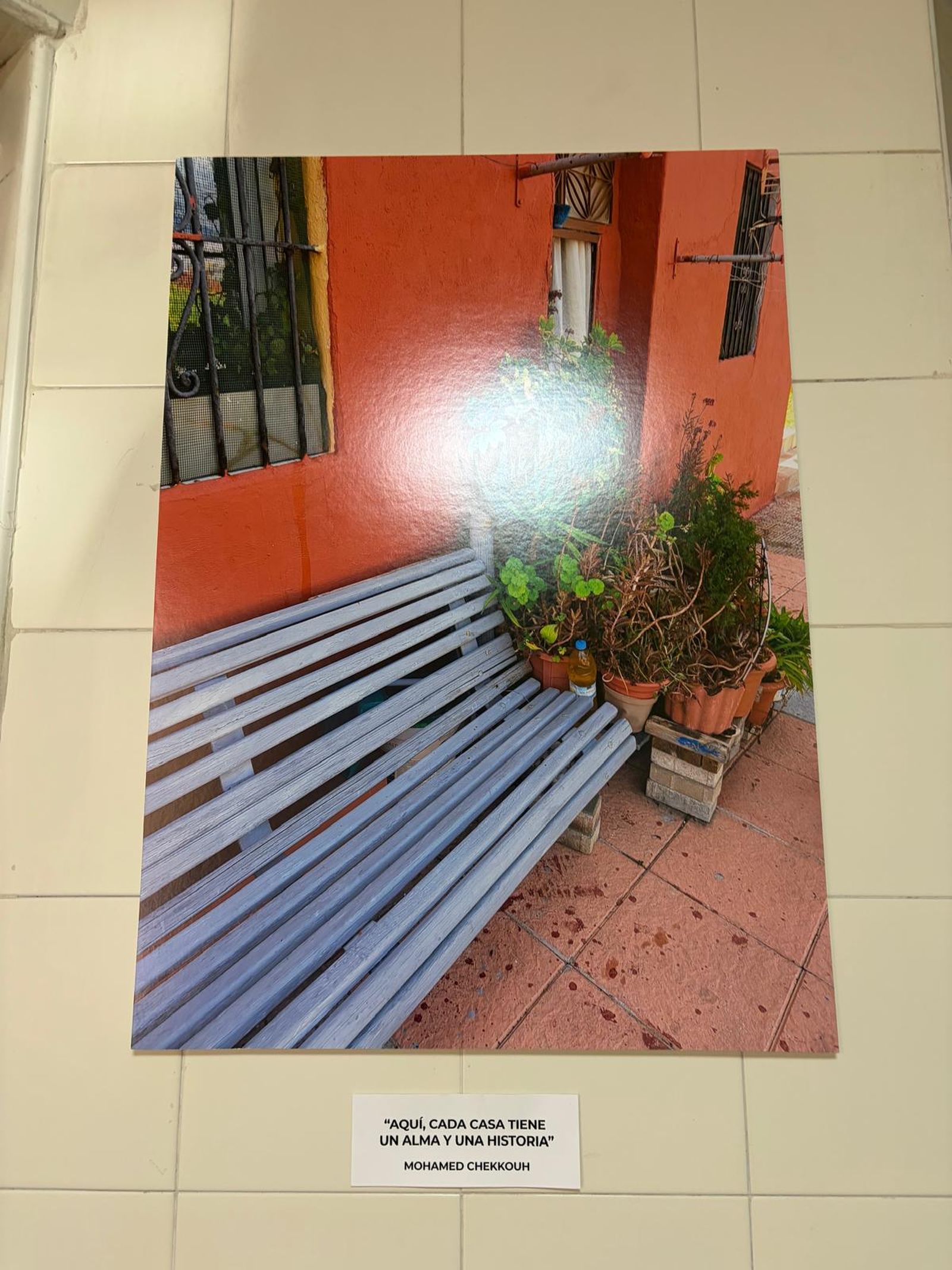 La exposición de fotos del proyecto Altaweia lleva “luz”, “orgullo” y “arte” al Mercado de Hadú