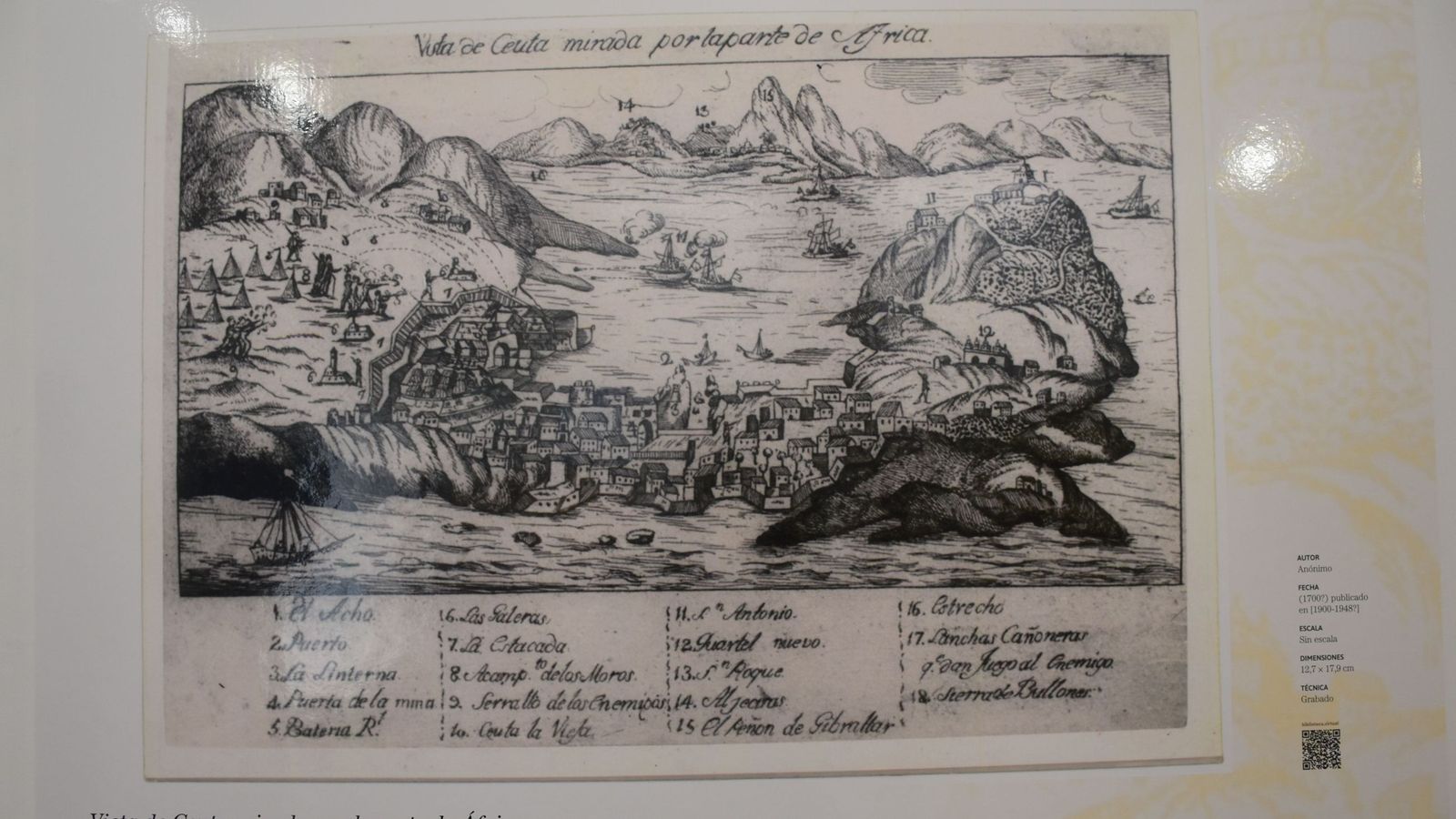 Muestras de la exposición