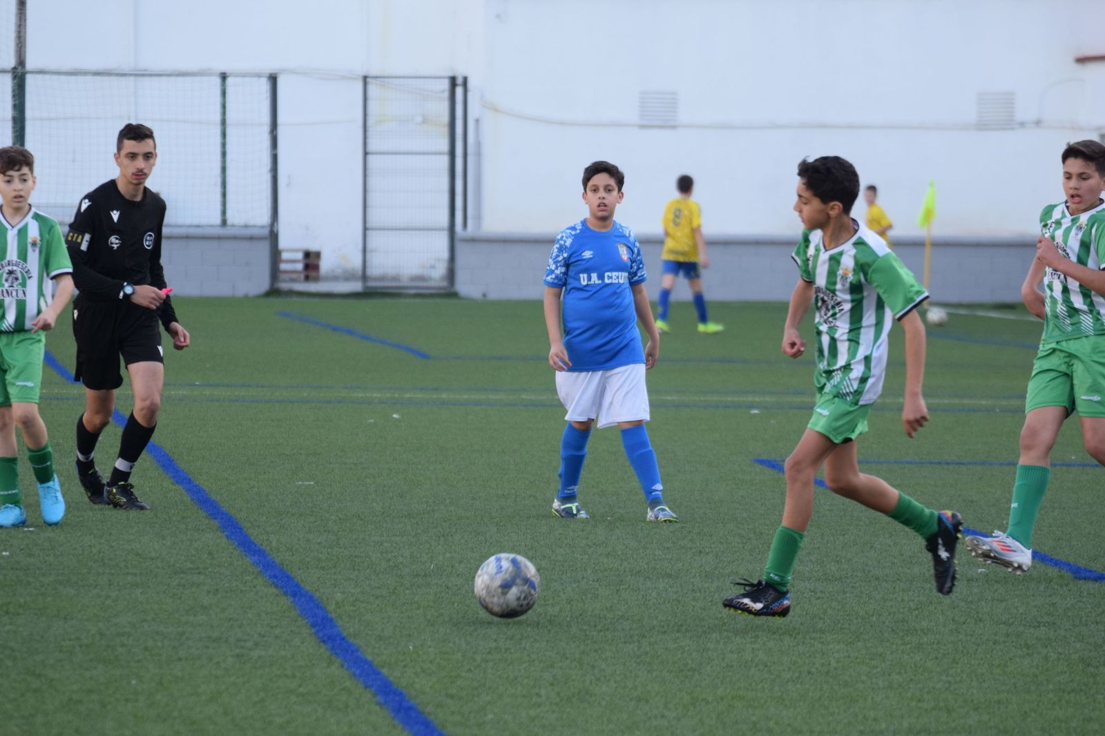 Liga Alevín de Fútbol-7