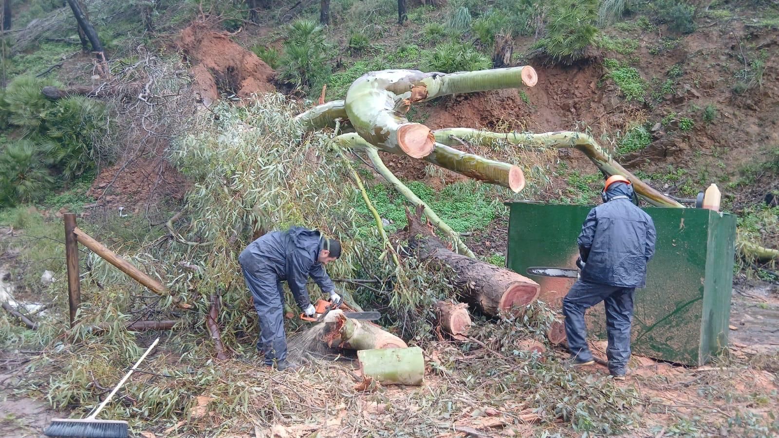 Una de las actuaciones desarrolladas durante los días más conflictivos