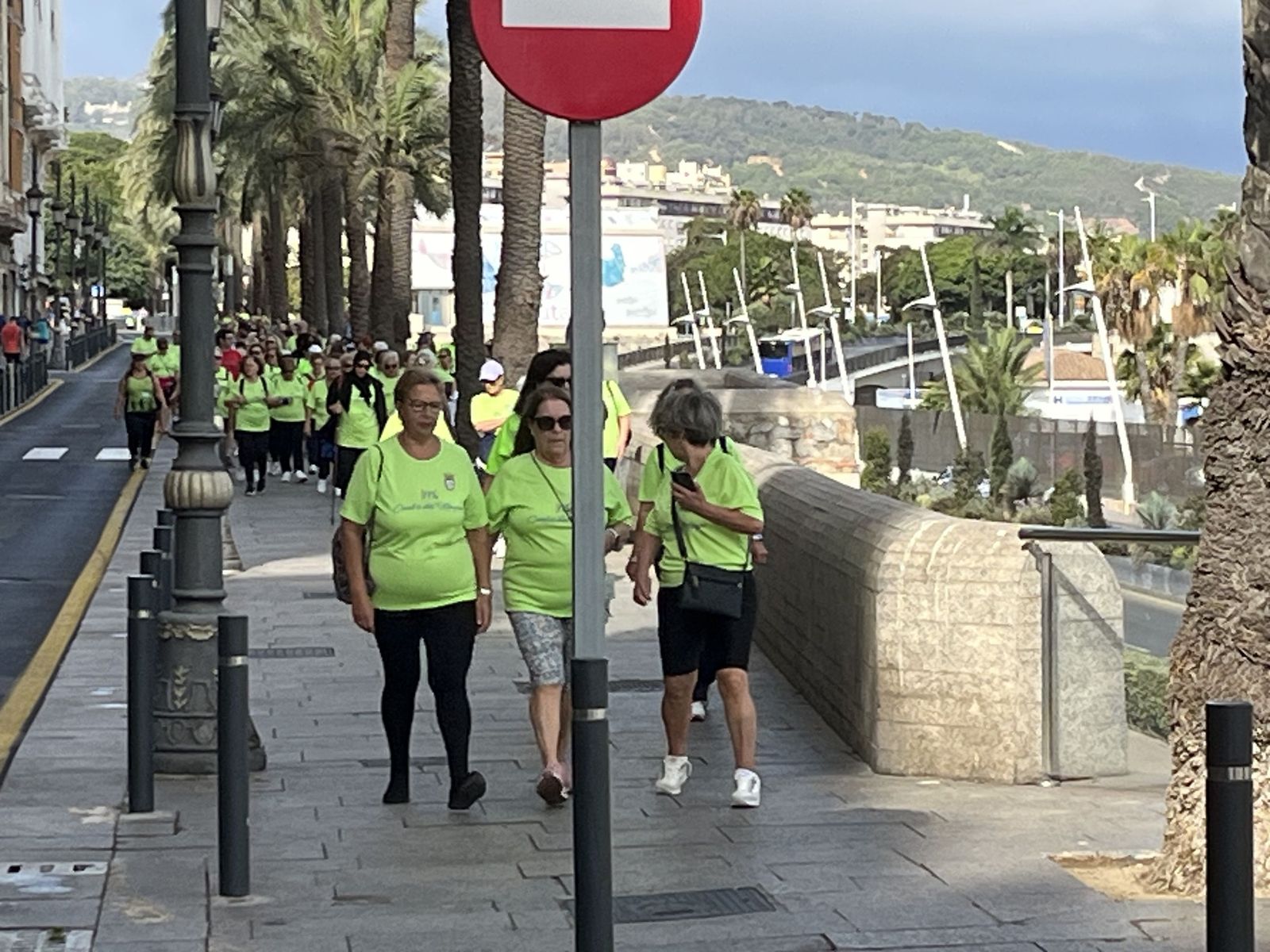 Participación y buen ambiente en la Marcha de Mayores: fotogalería completa