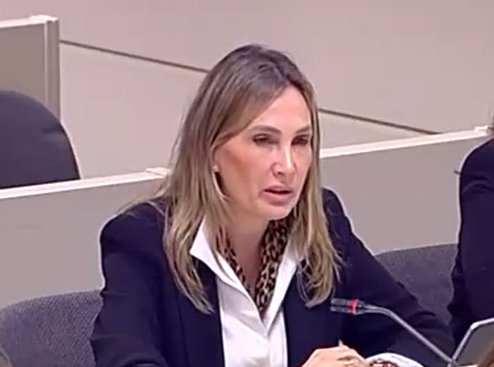 La senadora del PP, Cristina Díaz, durante su intervención.