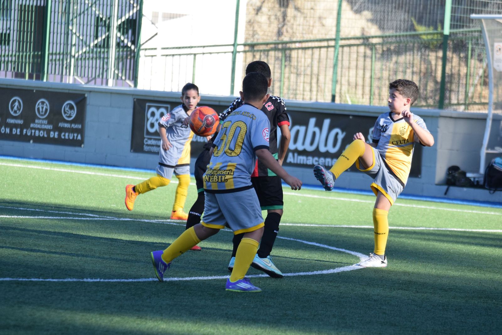 Liga Benjamín
