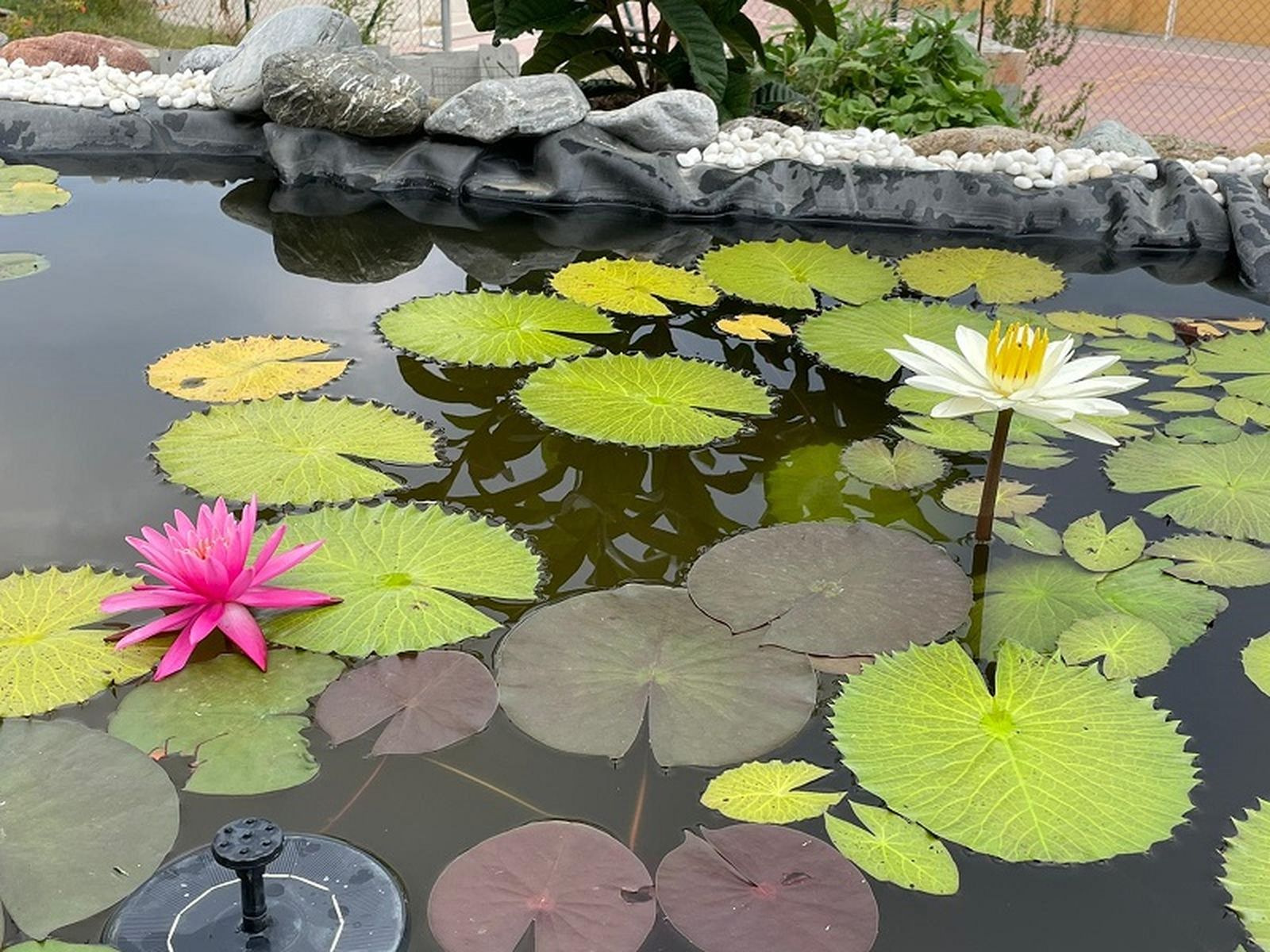 4744_jardin-de-las-esperides-5