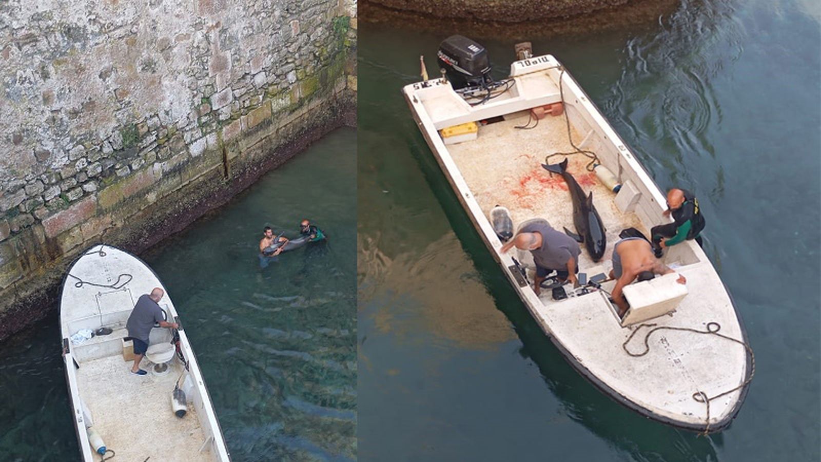 FOTOS Y VÍDEO POR JUANJO CORONADO