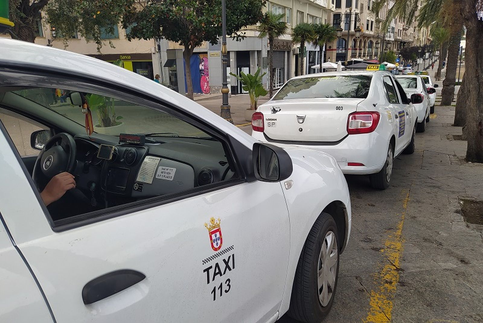 3195_820_taxis-p-las-palmeras_003