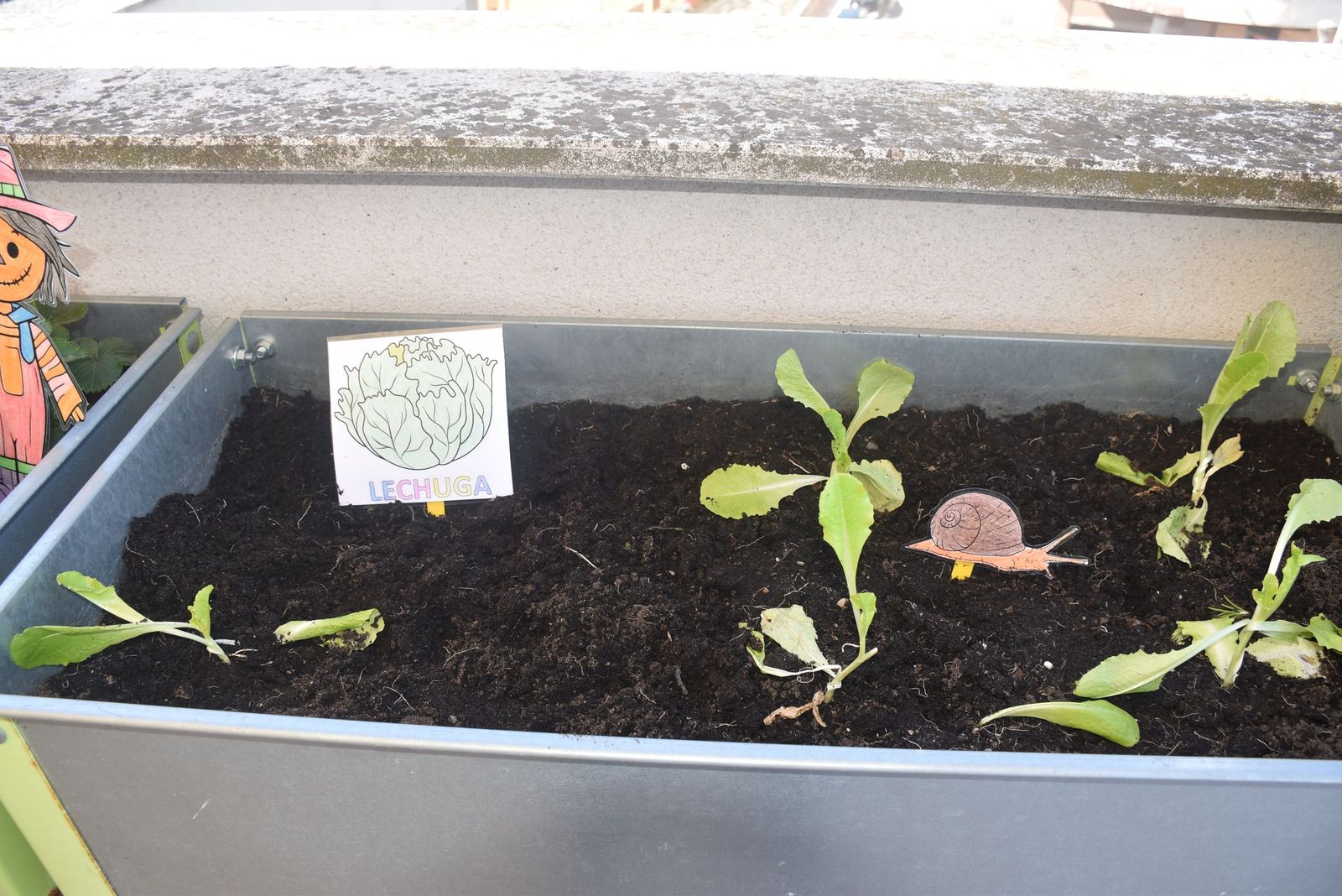 Puertas abiertas y un ambiente entrañable hacen especial una jornada en Cruz Blanca