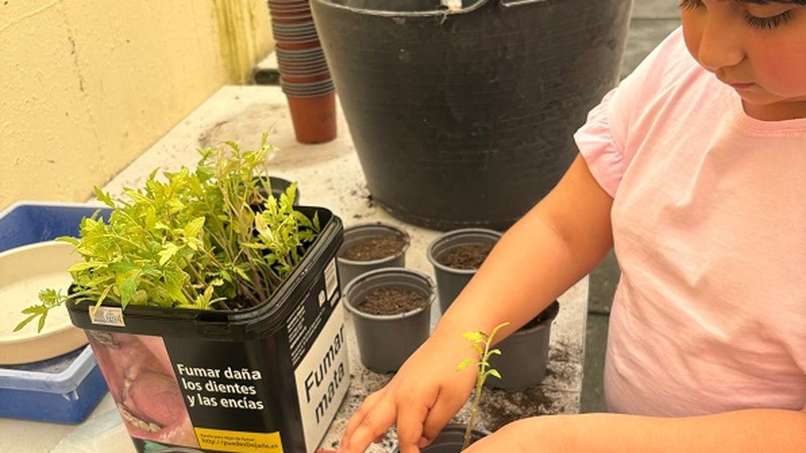 Ceuta impulsa la educación ambiental en las aulas a través de los huertos escolares