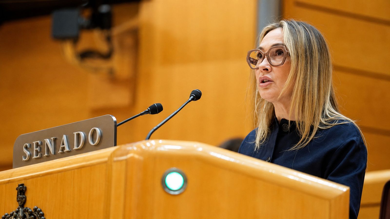Cristina Díaz, hablando en el Senado