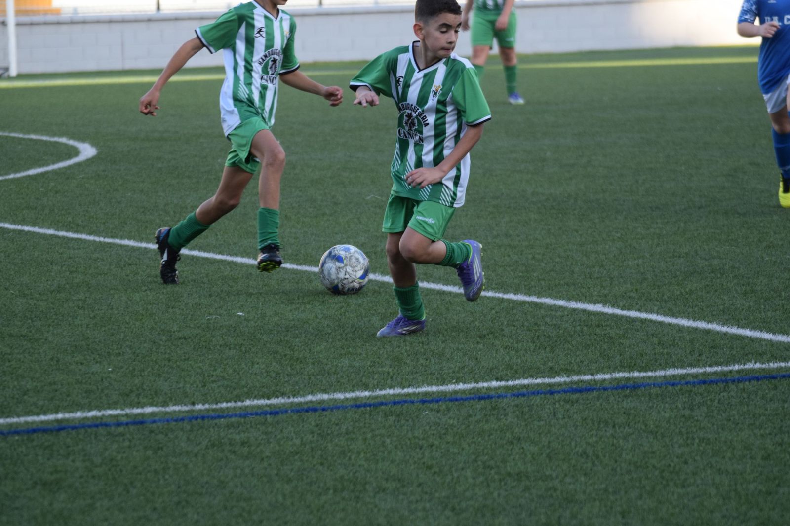Liga Alevín de Fútbol-7