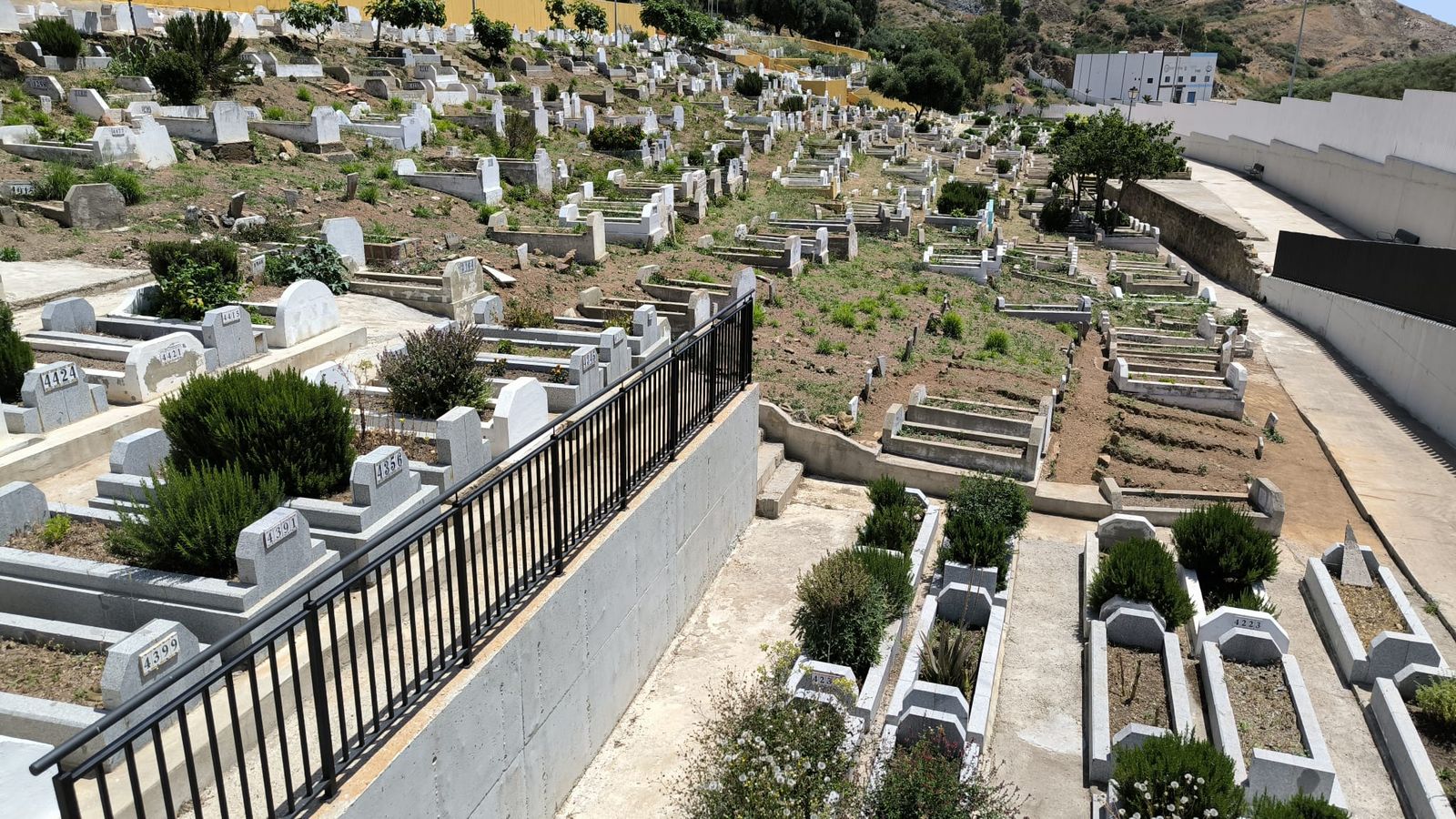 El cementerio de Sidi Embarek