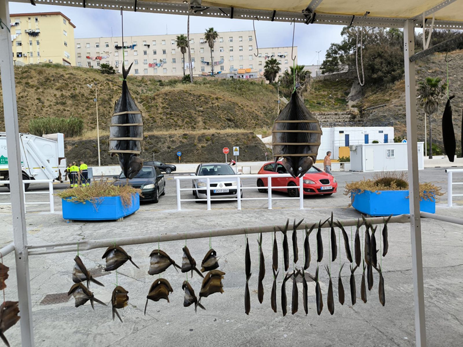 Pescado seco y listo para la venta por parte de 'Fai'. / FOTO NICOL'S