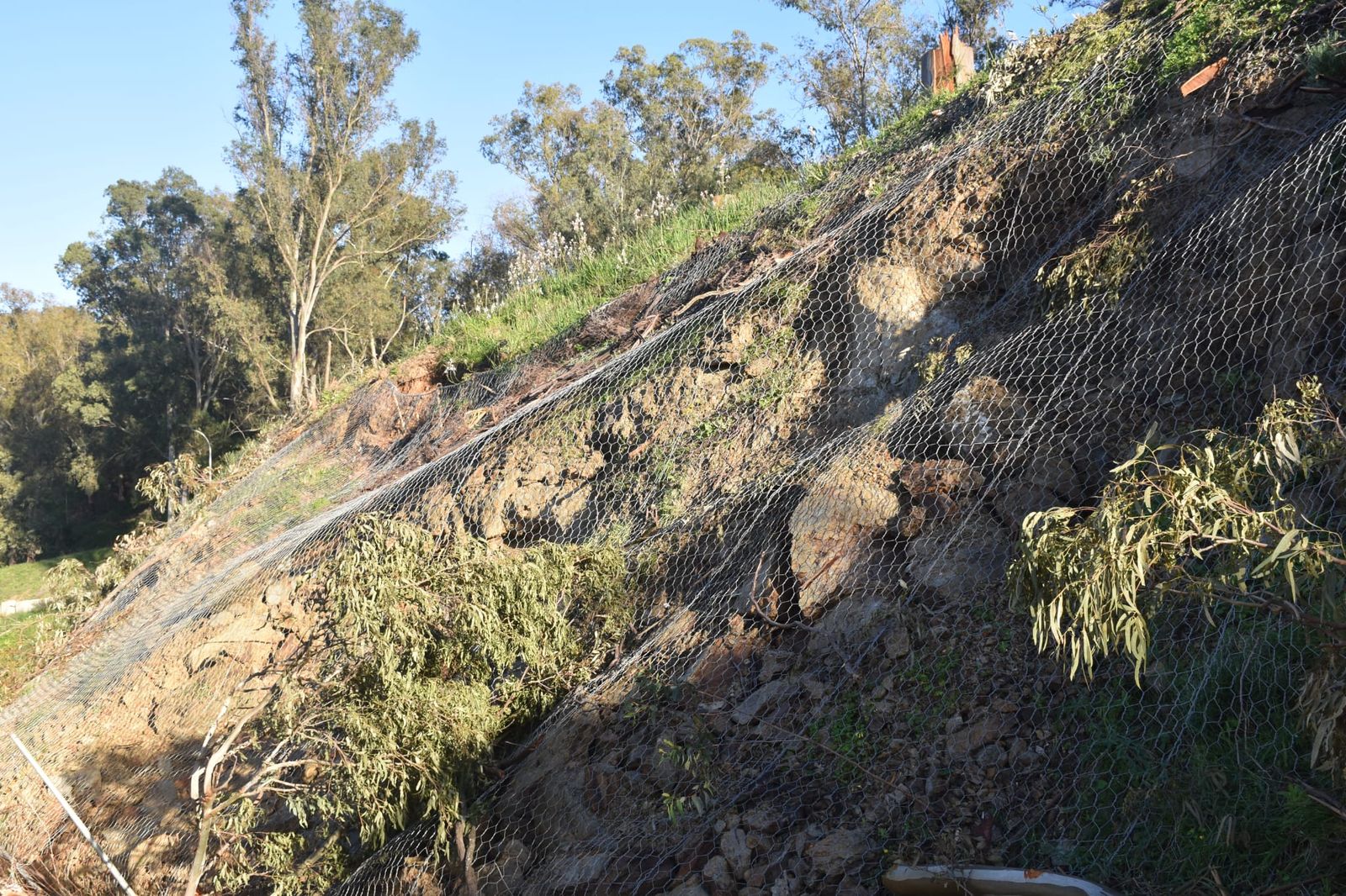 Campos del Príncipe