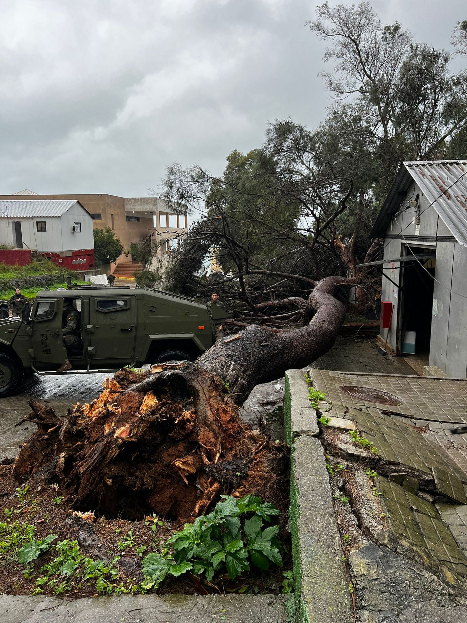 Vea las imágenes más impactantes del temporal