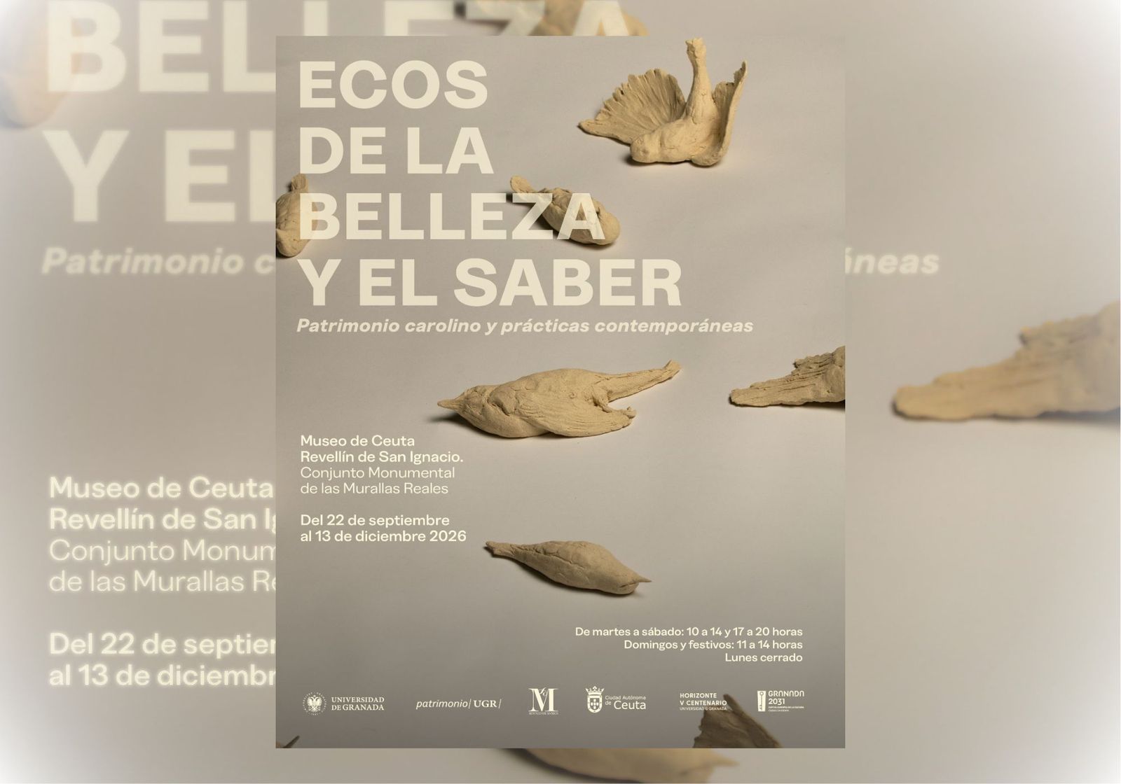 Cartel de la exposición
