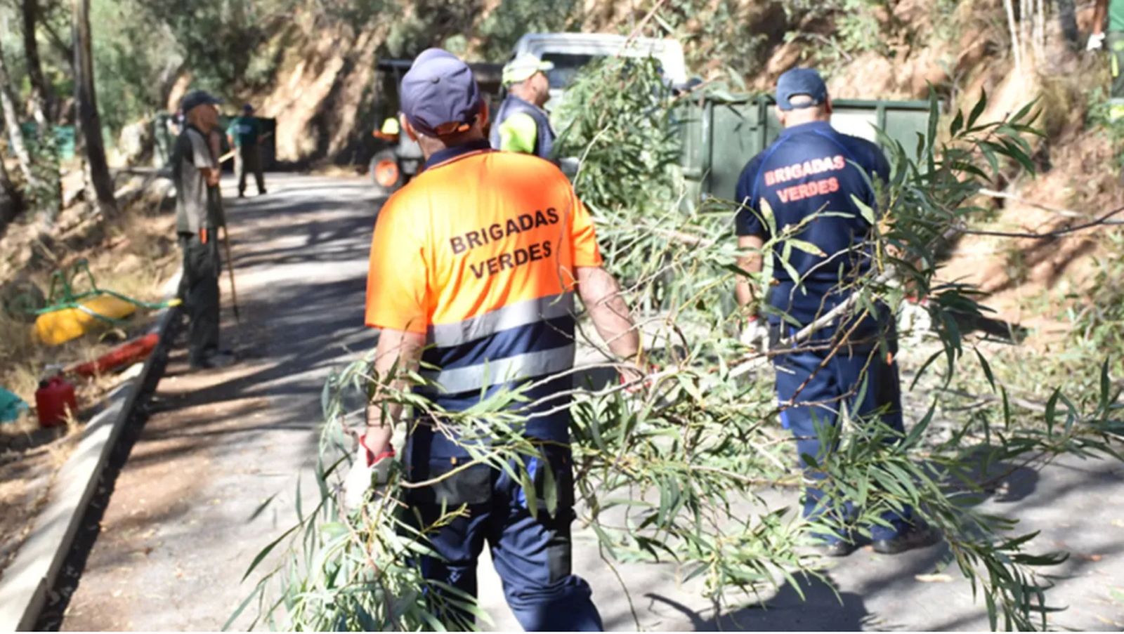 Trabajadores de Brigadas Verdes