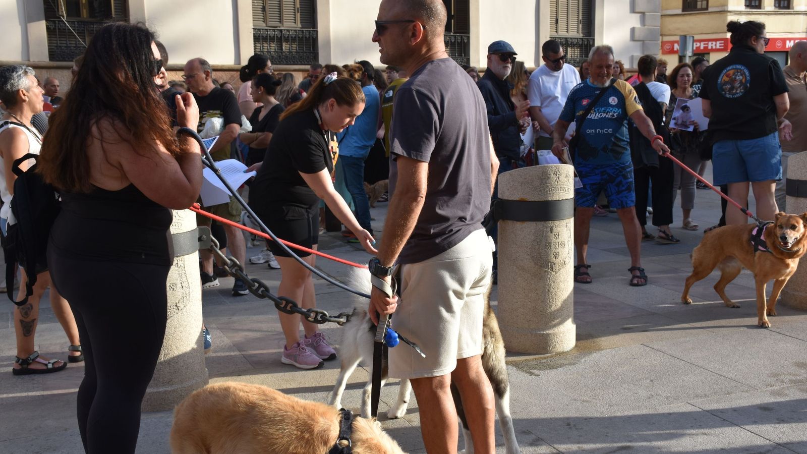 Concentración celebrada a las puertas del Palacio Autonómico por los derechos de los animales en Ceuta