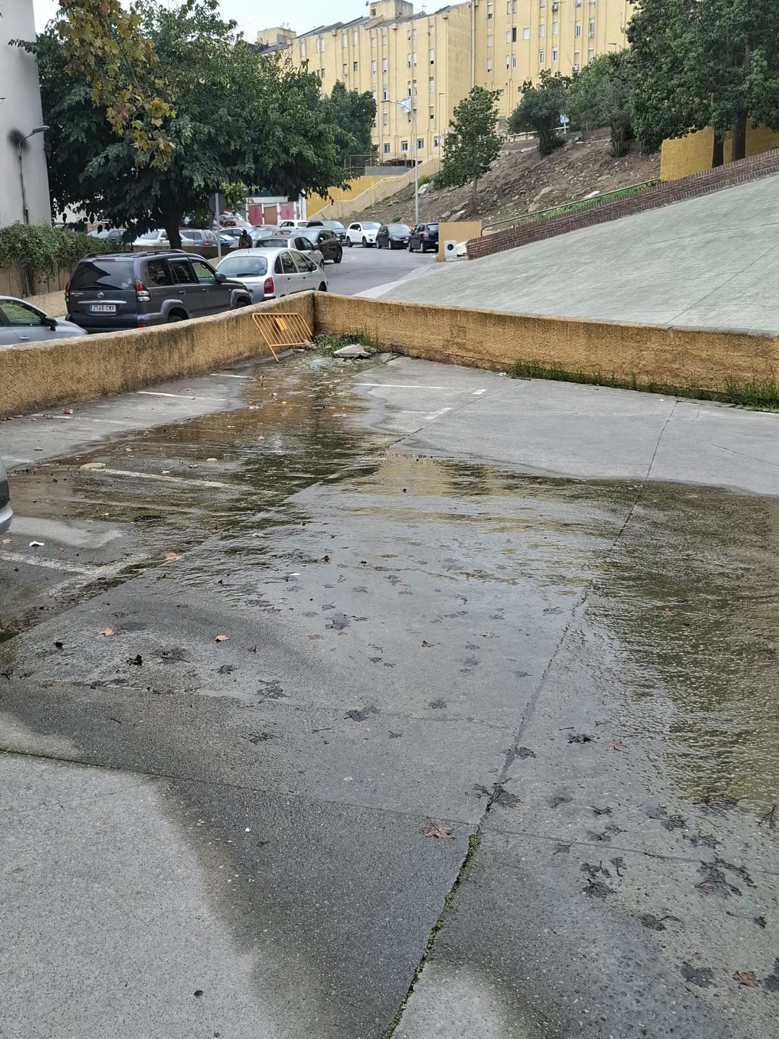 Una fuga de agua lleva más de año y medio desesperando a los vecinos de Juan Carlos I