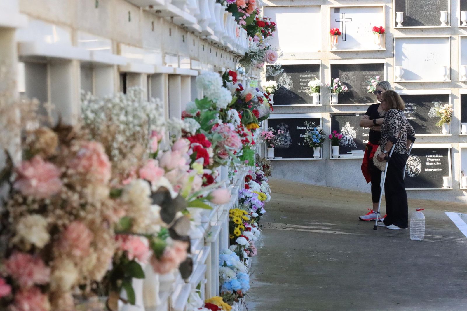 Instantánea tomada esta mañana en el cementerio Santa Catalina Instantánea tomada esta mañana en el cementerio Santa Catalina
