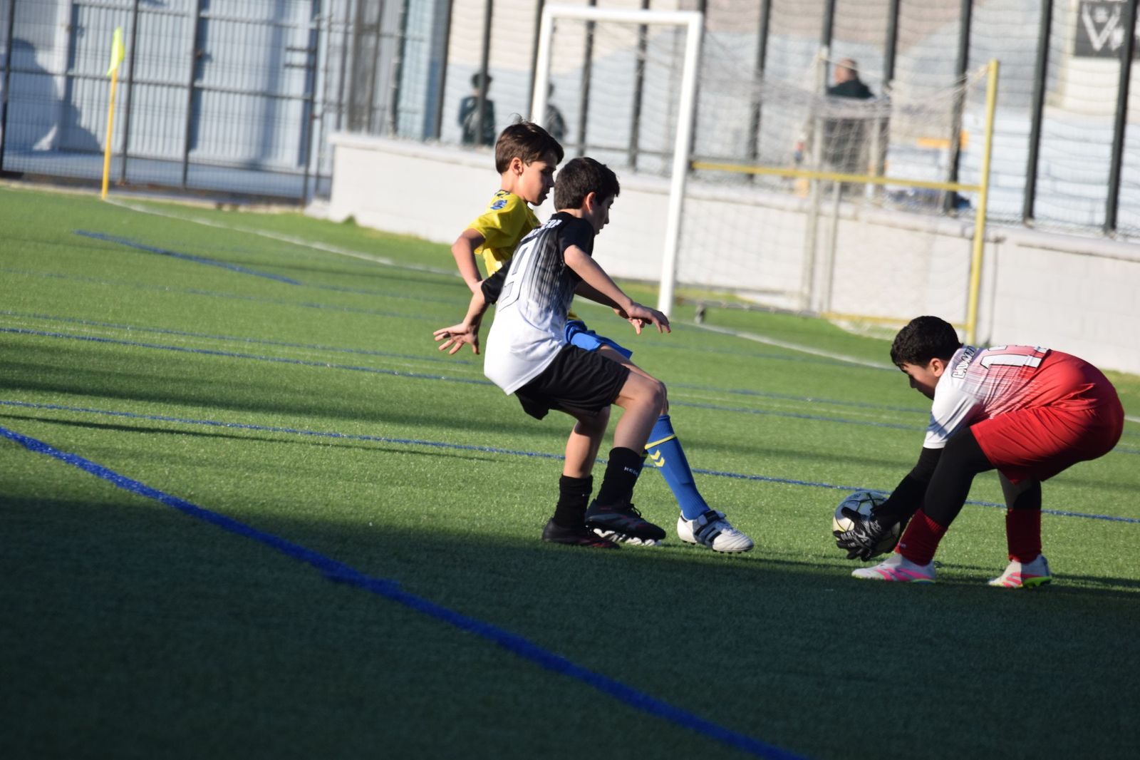 Liga Alevín de Fútbol-7