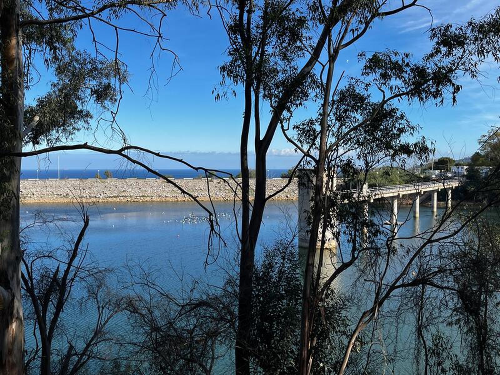 7288_embalse-renegado-ceuta-8