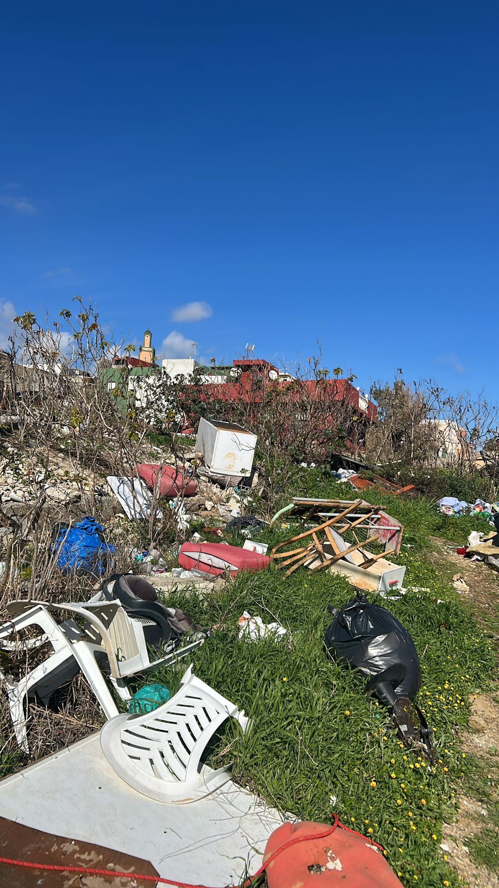 Las Brigadas Verticales limpian residuos en la barriada del Príncipe Felipe.