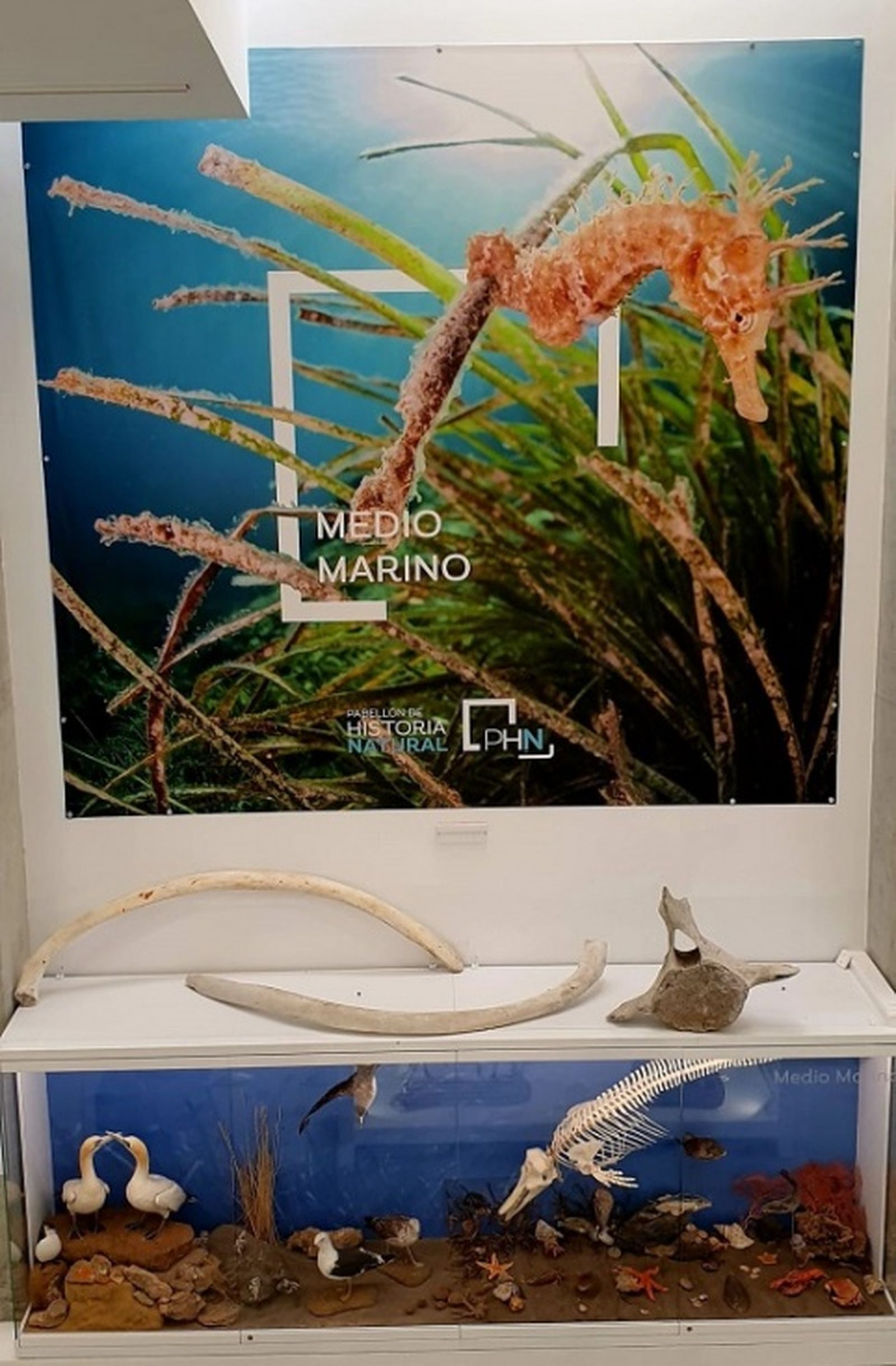 FOTO CEDIDA FOTO CEDIDA