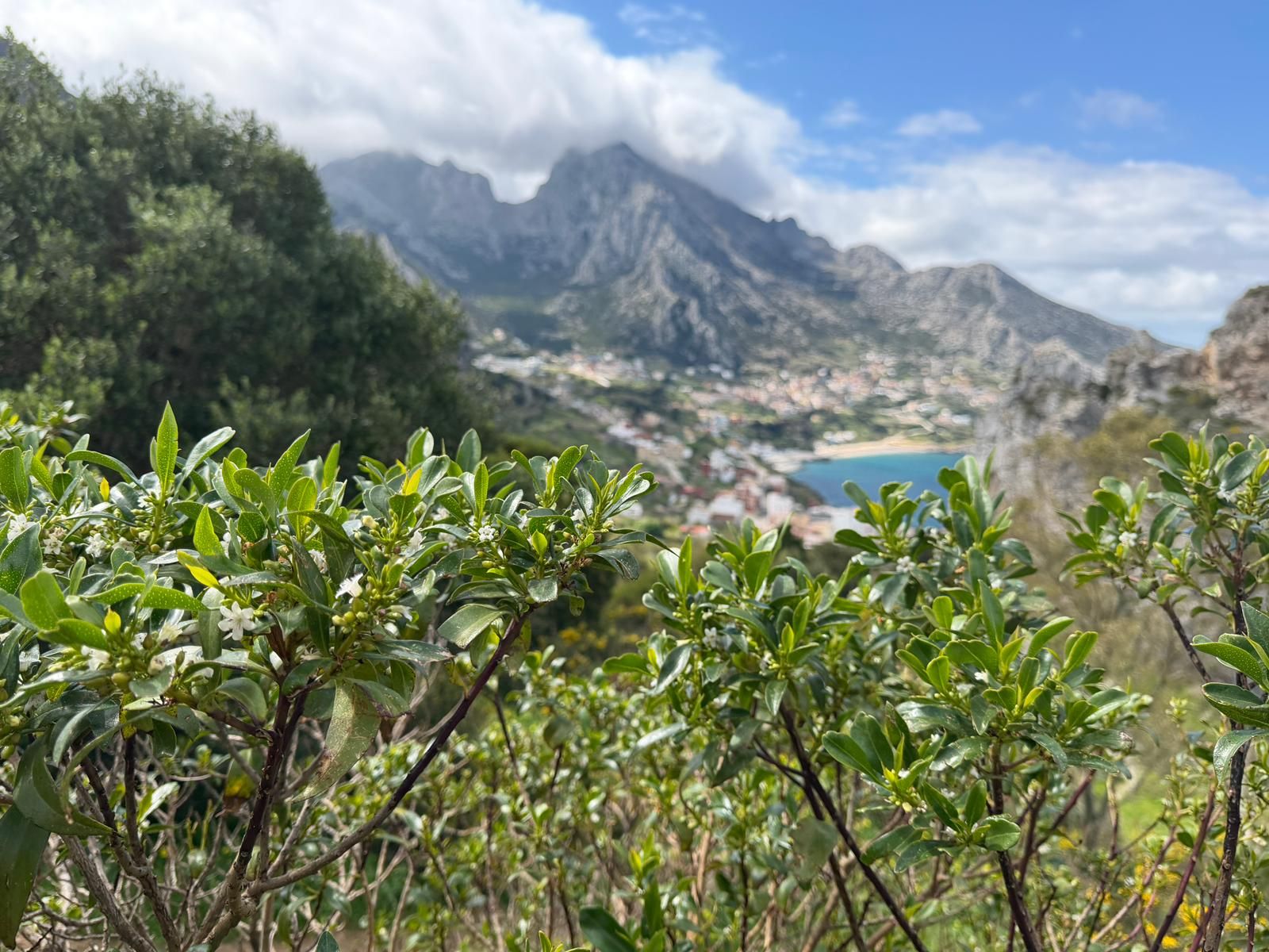 Vistas de Ceuta con la Mujer Muerta al fondo