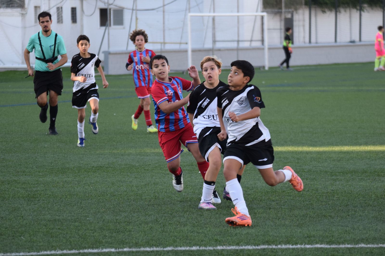 Liga Alevín de Fútbol-7