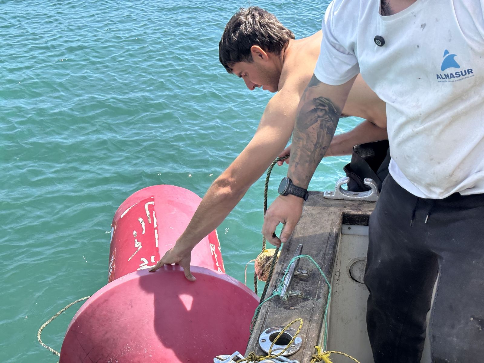 Ceuta blinda sus playas contra las medusas: el trabajo invisible que garantiza un verano seguro en el mar