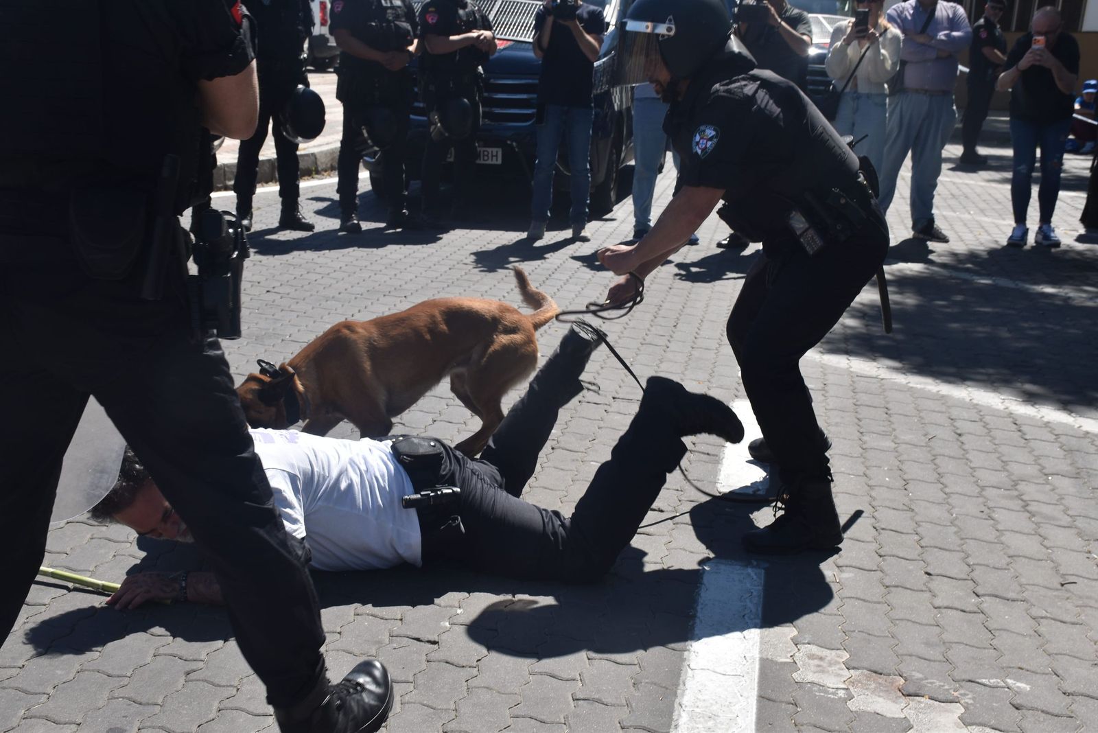 La Policía Local deslumbra a los pequeños de varios centros escolares