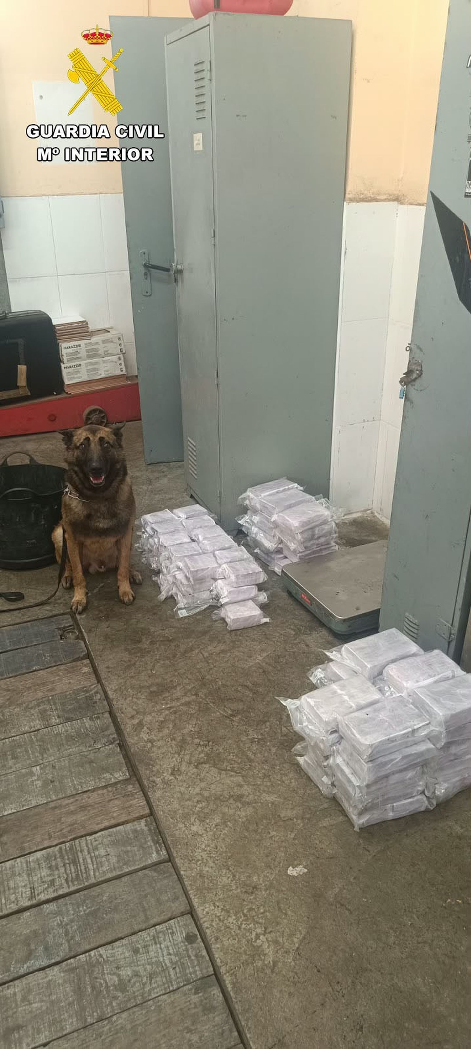 La Guardia Civil detiene a una madre y su hija con 64 kilos de hachís ocultos en el coche