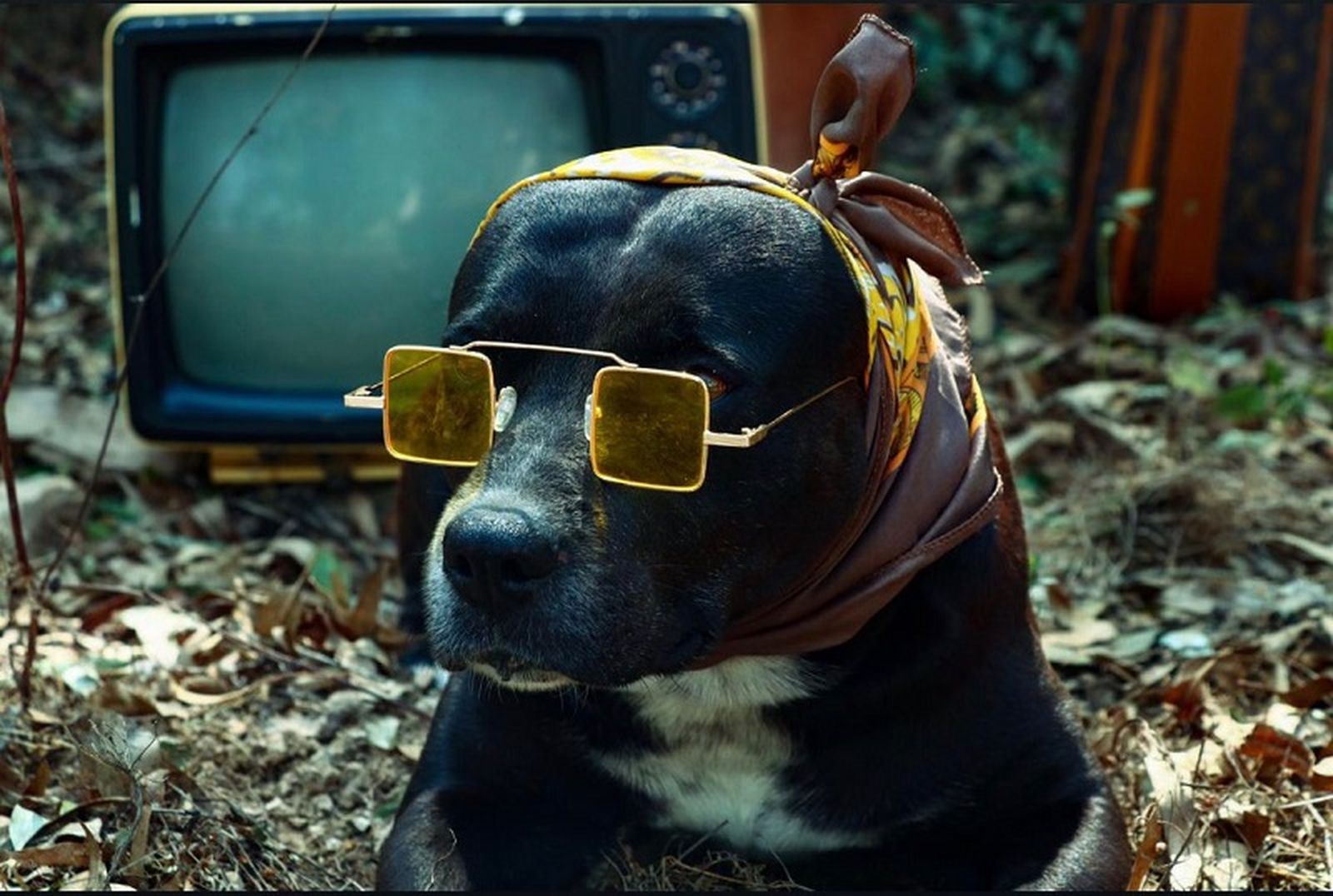 2541_whatsapp-image-2021-09-23-at-181117-1web