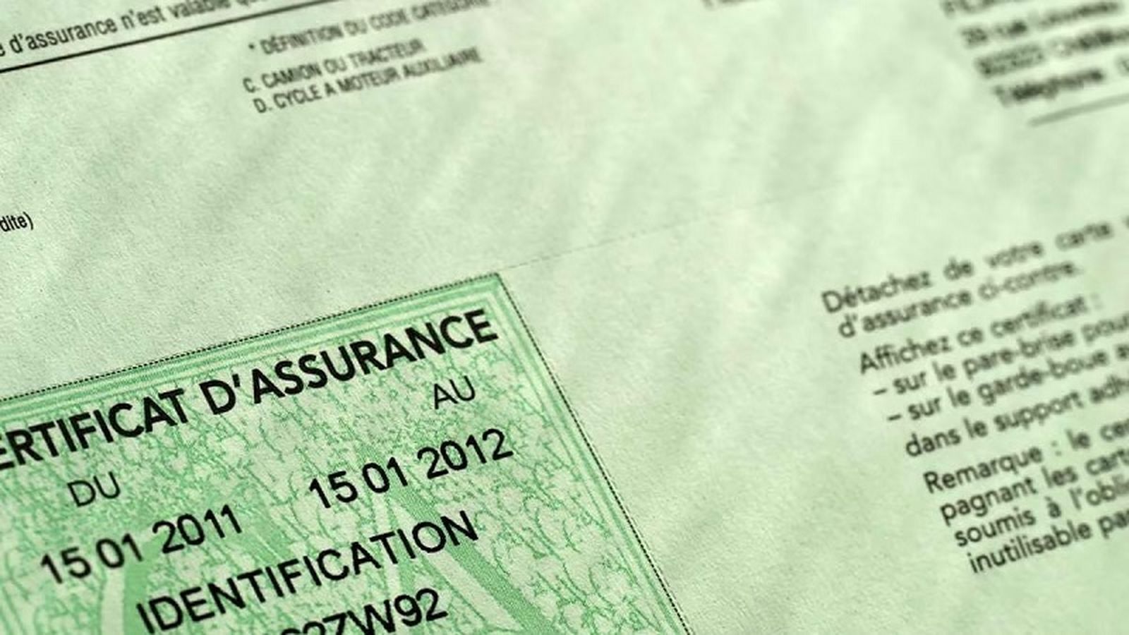 Tarjeta verde. / FOTO CEDIDA