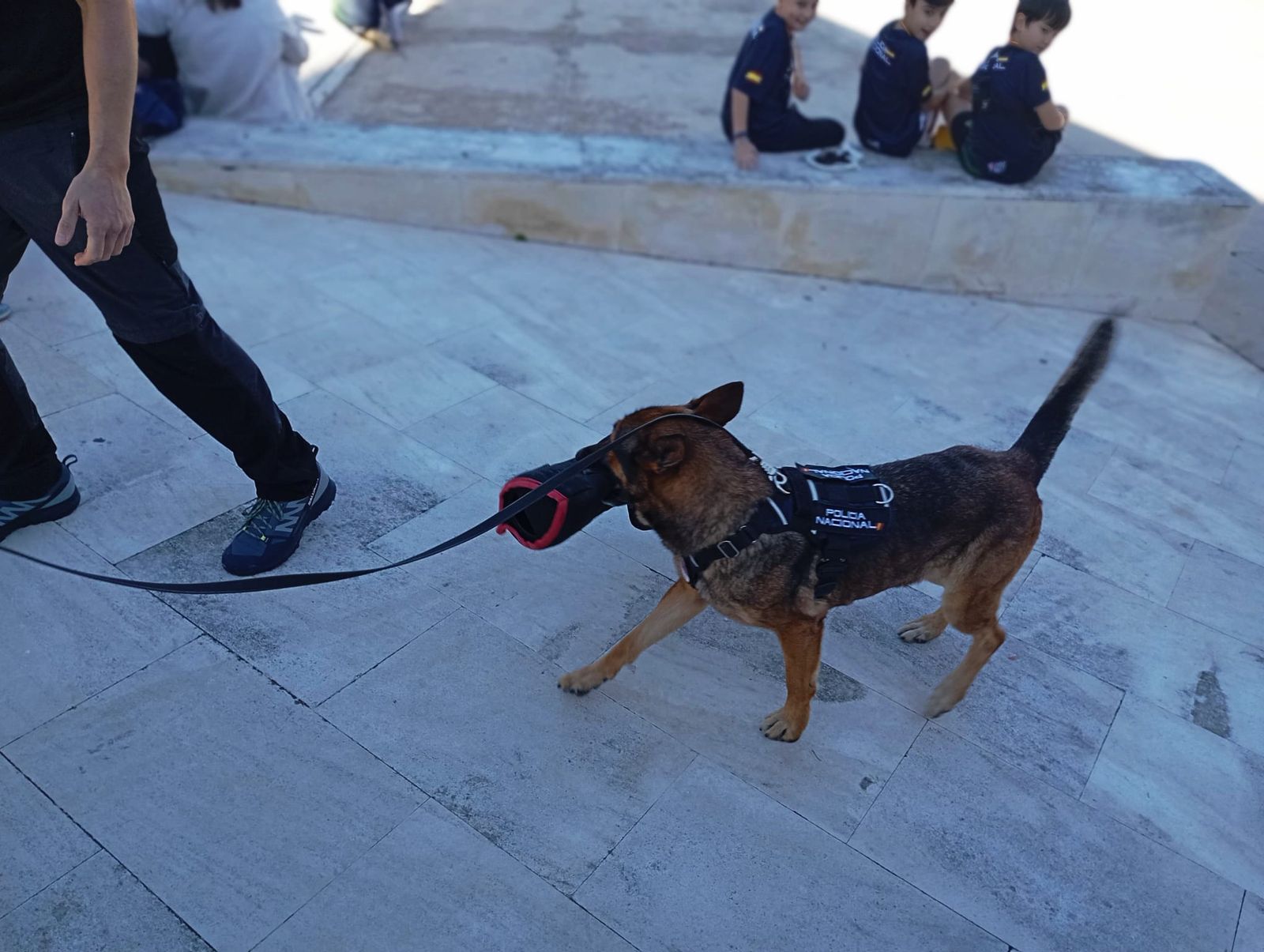 La III Edición de la 'Ruta 091',. en marcha