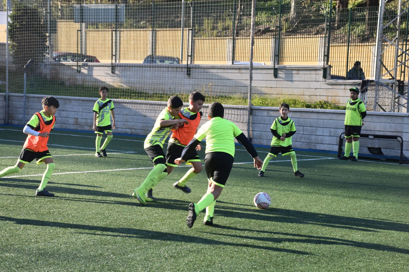 Campos del Príncipe