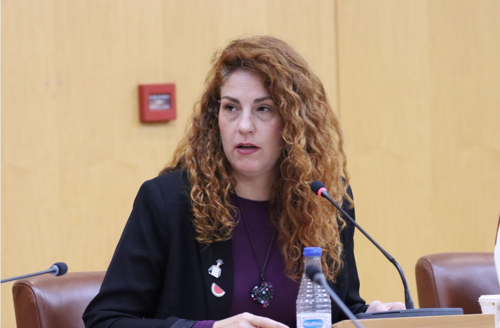 La diputada Julia Ferreras, durante la sesión plenaria celebrada este miércoles