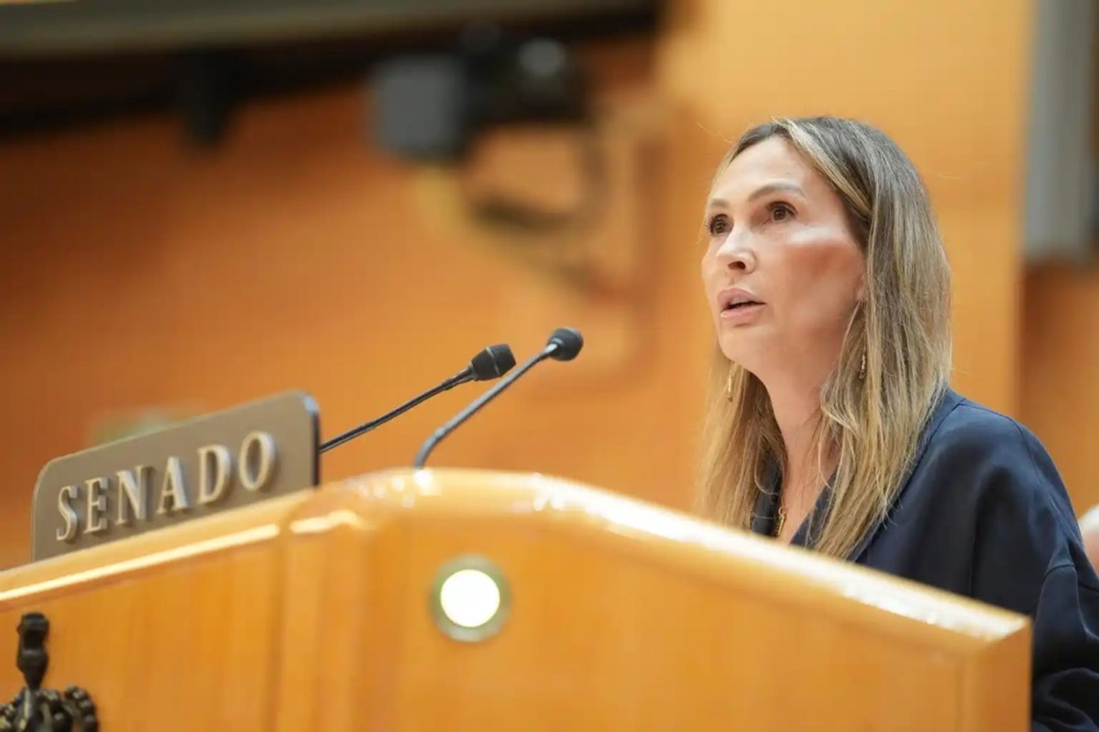 La senadora de Ceuta, Cristina Díaz, durante su comparecencia este miércoles en el Senado